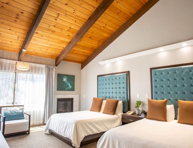 The image shows a cozy bedroom with two beds, wood-beamed ceiling, textured blue headboards, and natural light from a large window.