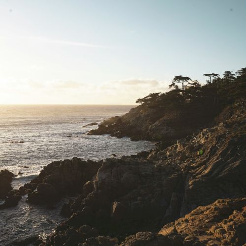 A rocky coastline with waves crashing, silhouetted trees, and a vast ocean under a clear sky at sunset.