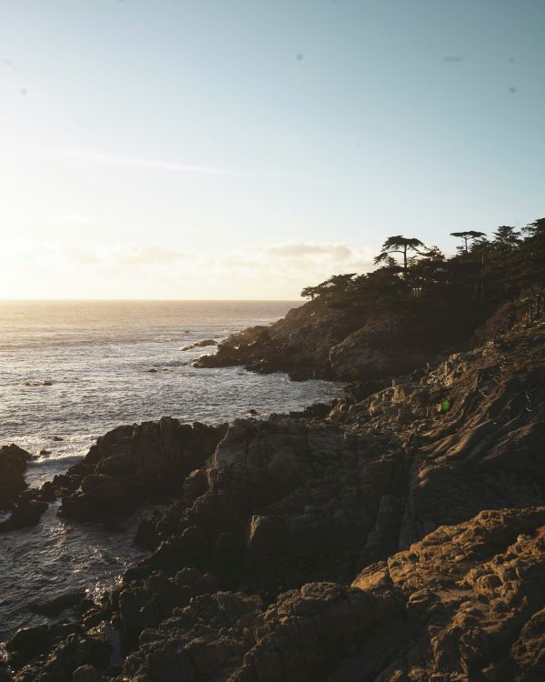 A rocky coastline with waves crashing, silhouetted trees, and a vast ocean under a clear sky at sunset.