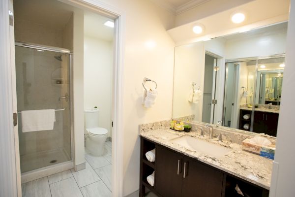 The image shows a bathroom with a shower, toilet, and a wide vanity with a granite countertop and mirror, lit by overhead lights.