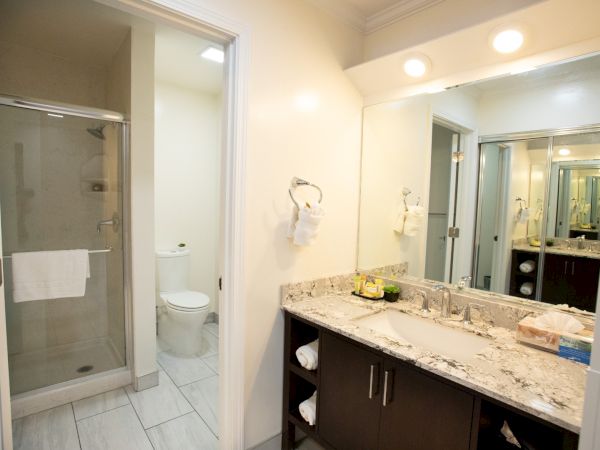 The image shows a bathroom with a shower, toilet, and a wide vanity with a granite countertop and mirror, lit by overhead lights.