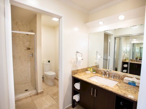 A bathroom with a shower, toilet, and a vanity sink with a mirror and lights. Towels and toiletries are neatly placed on the countertop.