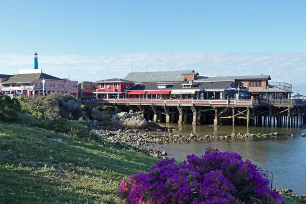 A coastal scene with buildings on stilts over water, a lighthouse, flowers, rocks, and a grassy area in the foreground.