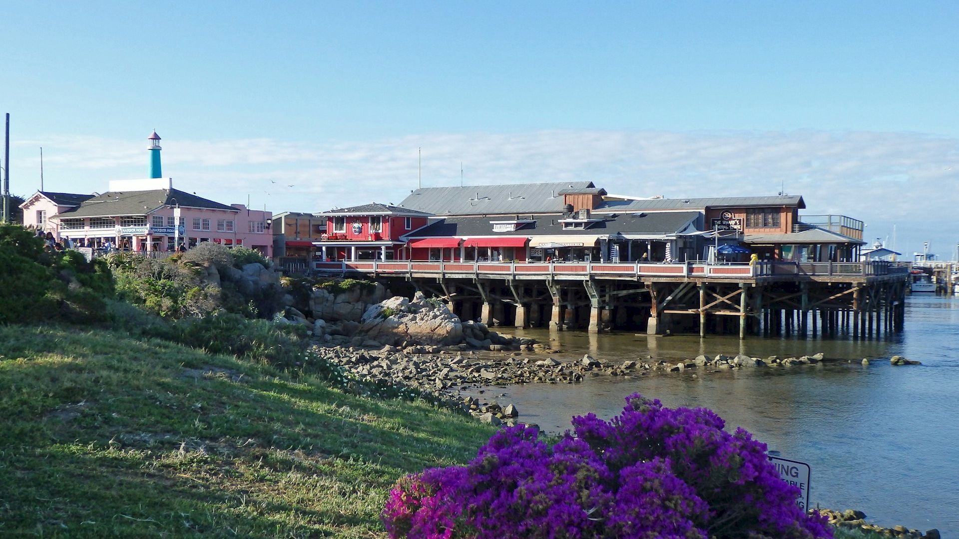 A waterfront scene with buildings on stilts, rocky shoreline, and vibrant purple flowers in the foreground, under a clear blue sky.
