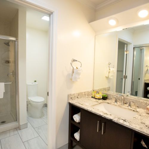 The image shows a bathroom with a glass shower, white toilet, and a marble sink countertop with a mirror and lights above.